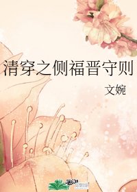 (BG/清穿同人)清穿之侧福晋守则